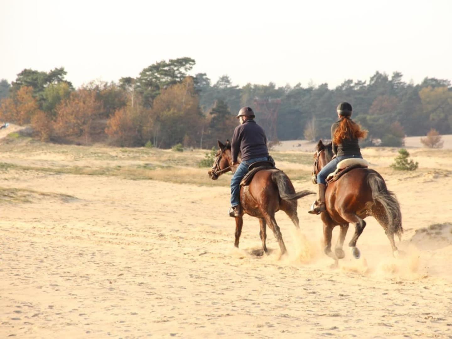 Vakantiehuis Op Rustig Bospark Veluwe Voorthuizen Kültér fotó