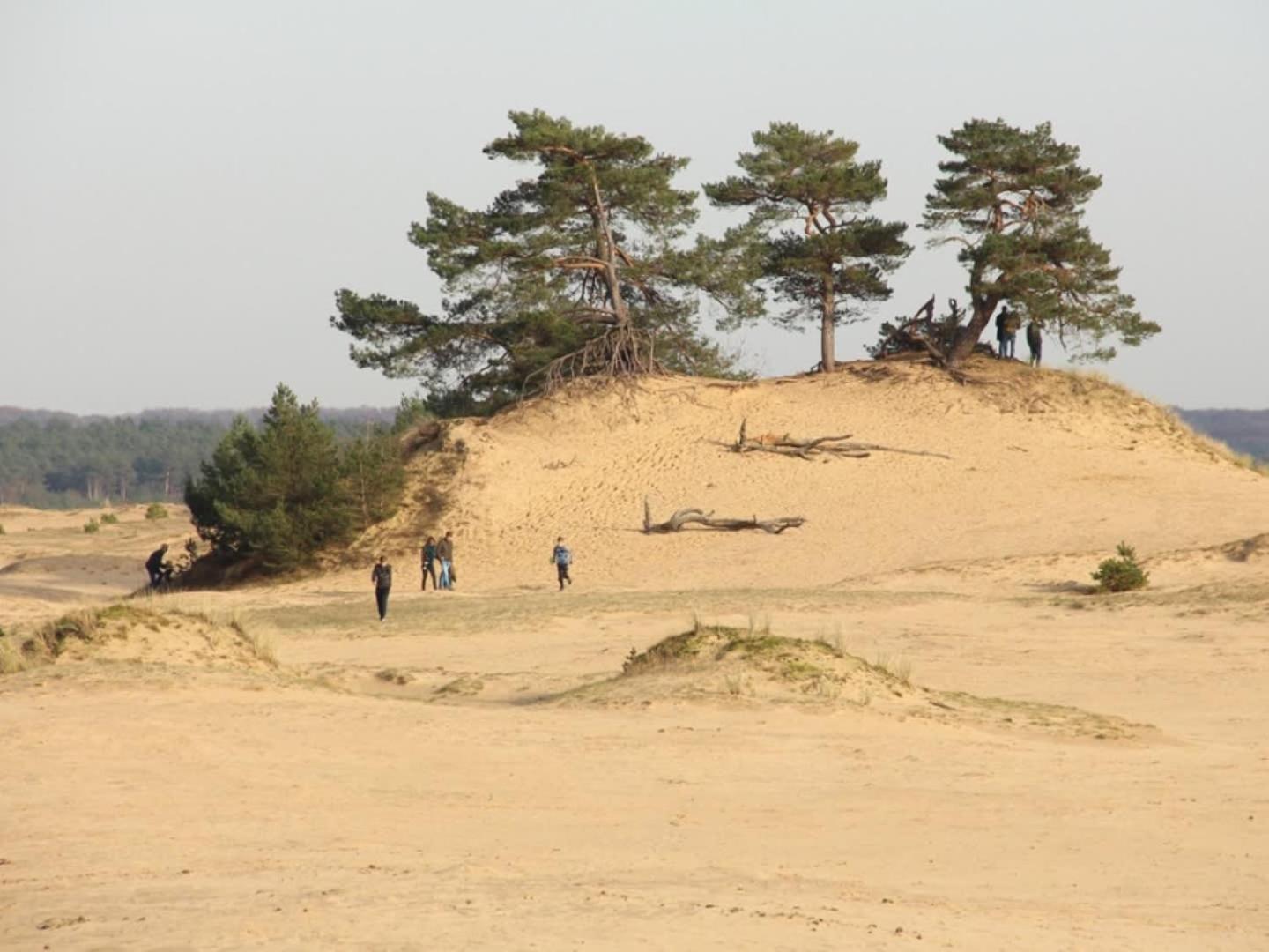 Vakantiehuis Op Rustig Bospark Veluwe Voorthuizen Kültér fotó