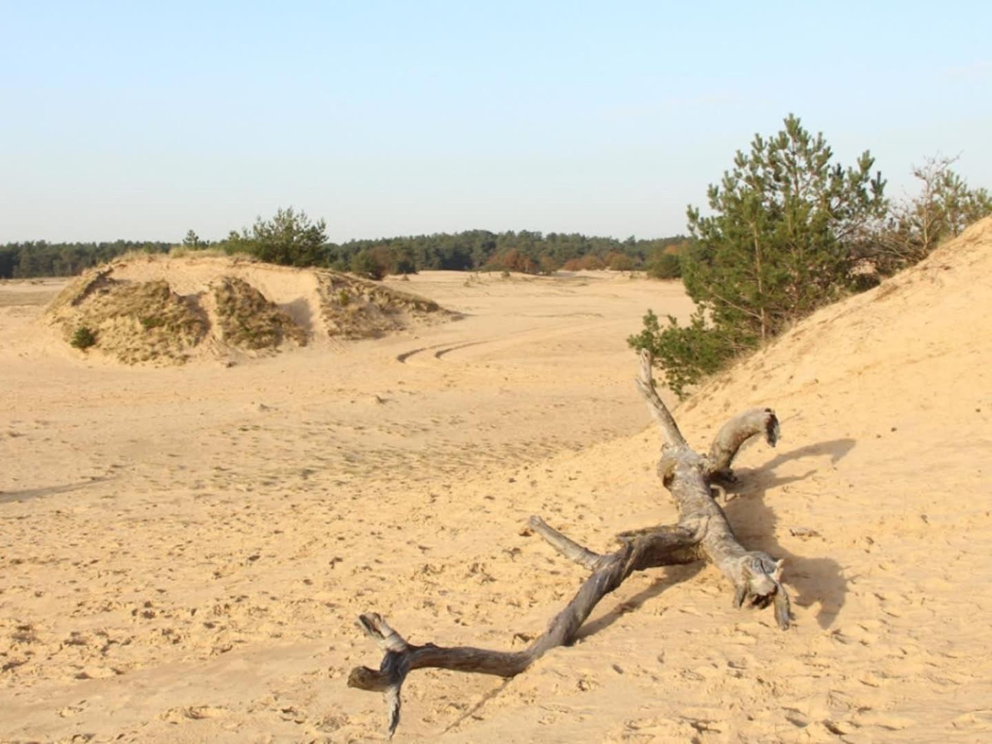 Vakantiehuis Op Rustig Bospark Veluwe Voorthuizen Kültér fotó