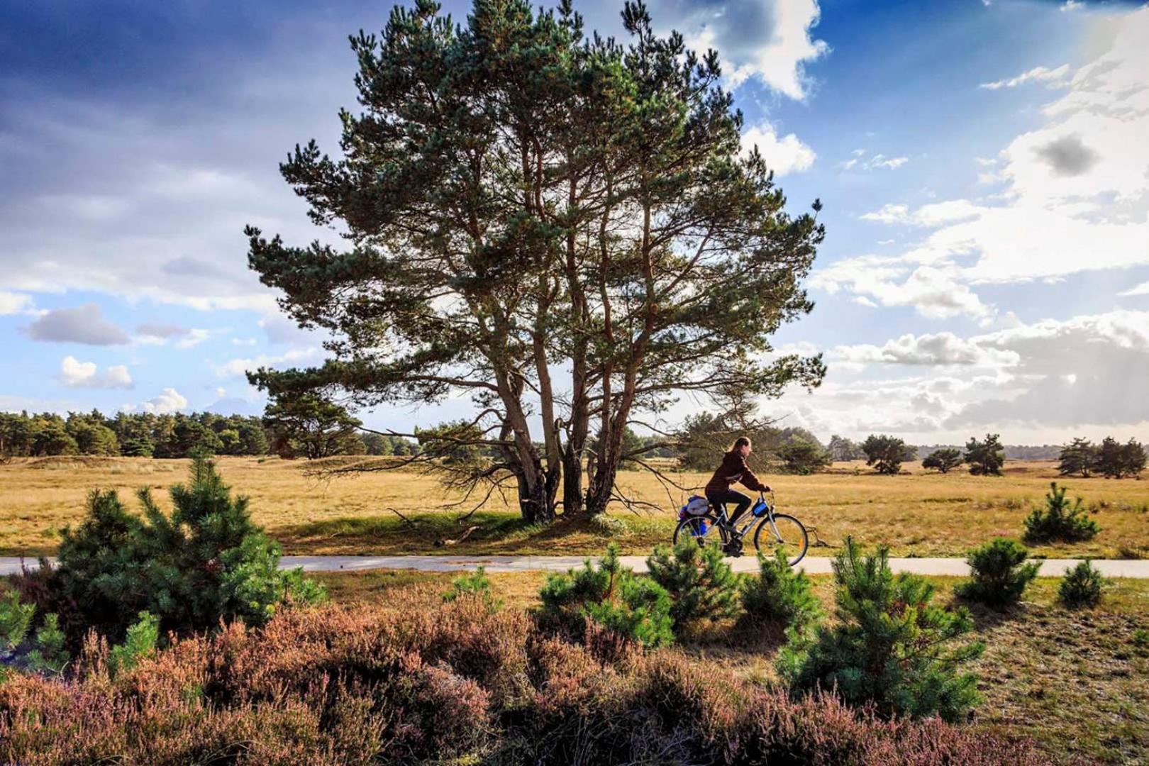 Vakantiehuis Op Rustig Bospark Veluwe Voorthuizen Kültér fotó