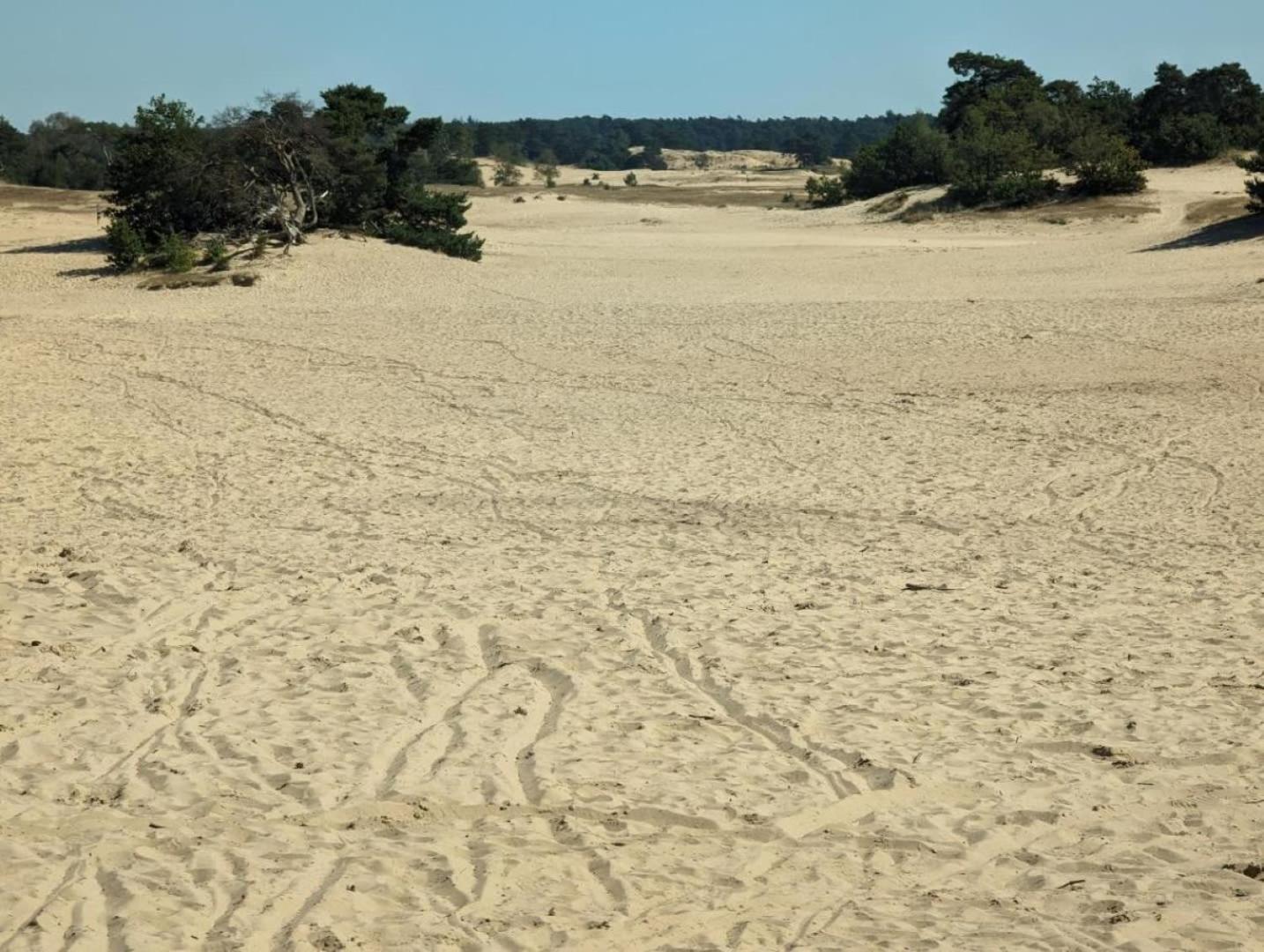 Vakantiehuis Op Rustig Bospark Veluwe Voorthuizen Kültér fotó