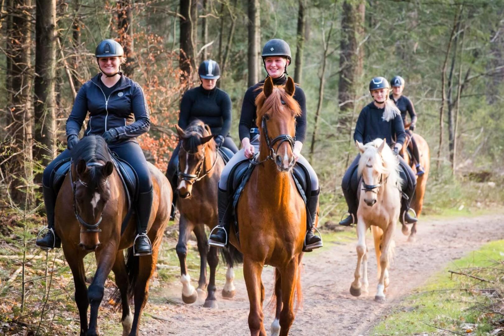 Vakantiehuis Op Rustig Bospark Veluwe Voorthuizen Kültér fotó