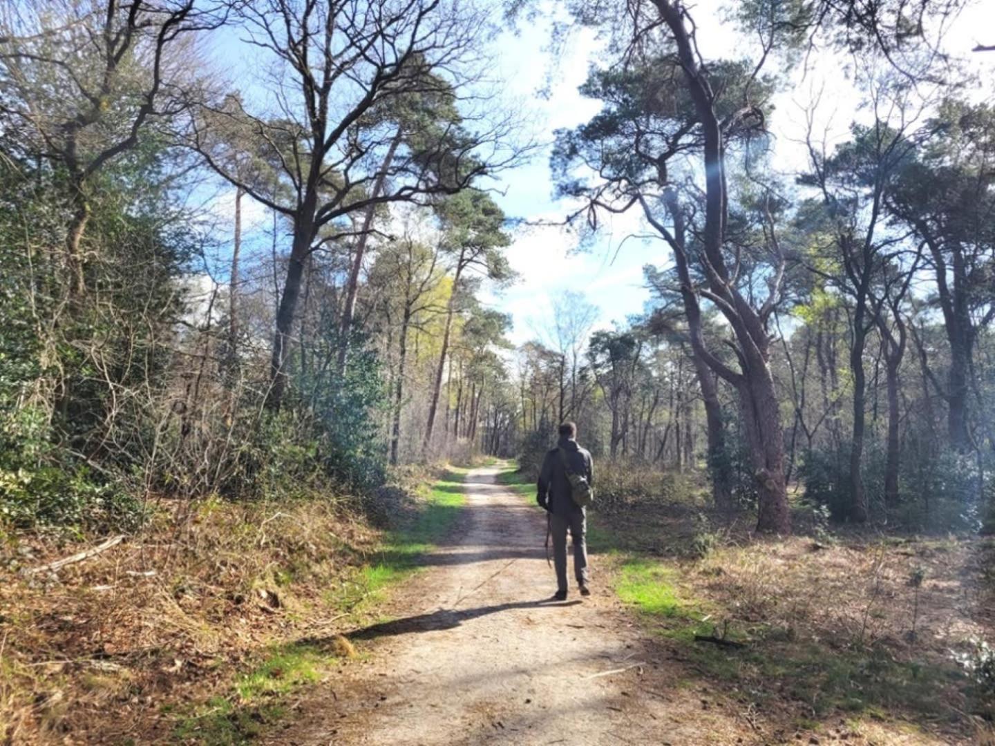 Vakantiehuis Op Rustig Bospark Veluwe Voorthuizen Kültér fotó